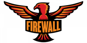Founder, Consultant, Tournament Organizer and Commentator for TeamFireWall GbR