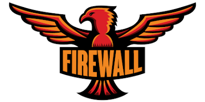 Founder, Consultant, Tournament Organizer and Commentator for TeamFireWall GbR